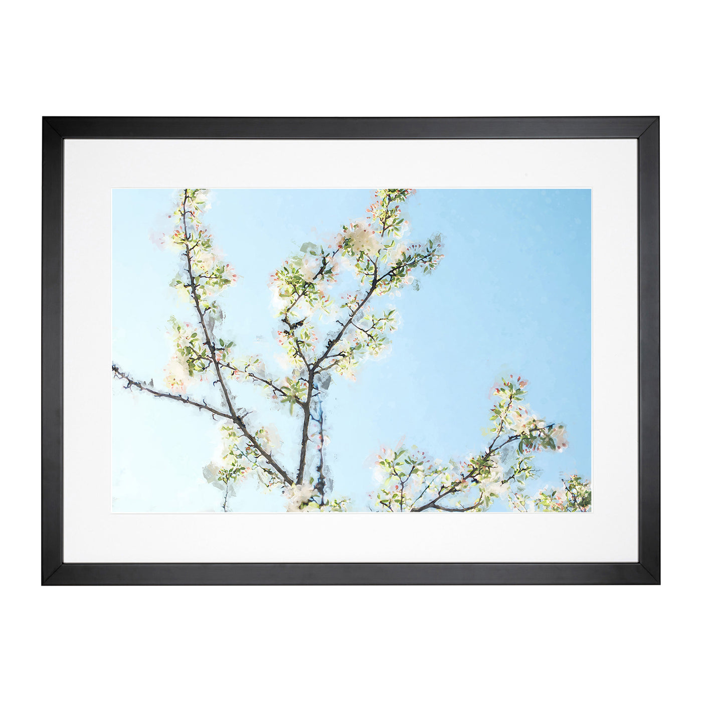 A White Cherry Blossom Tree