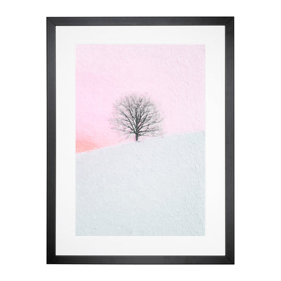 A Winter Tree At Sunset