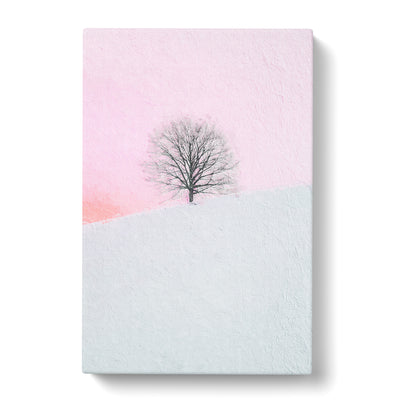 A Winter Tree At Sunset Canvas Print Main Image