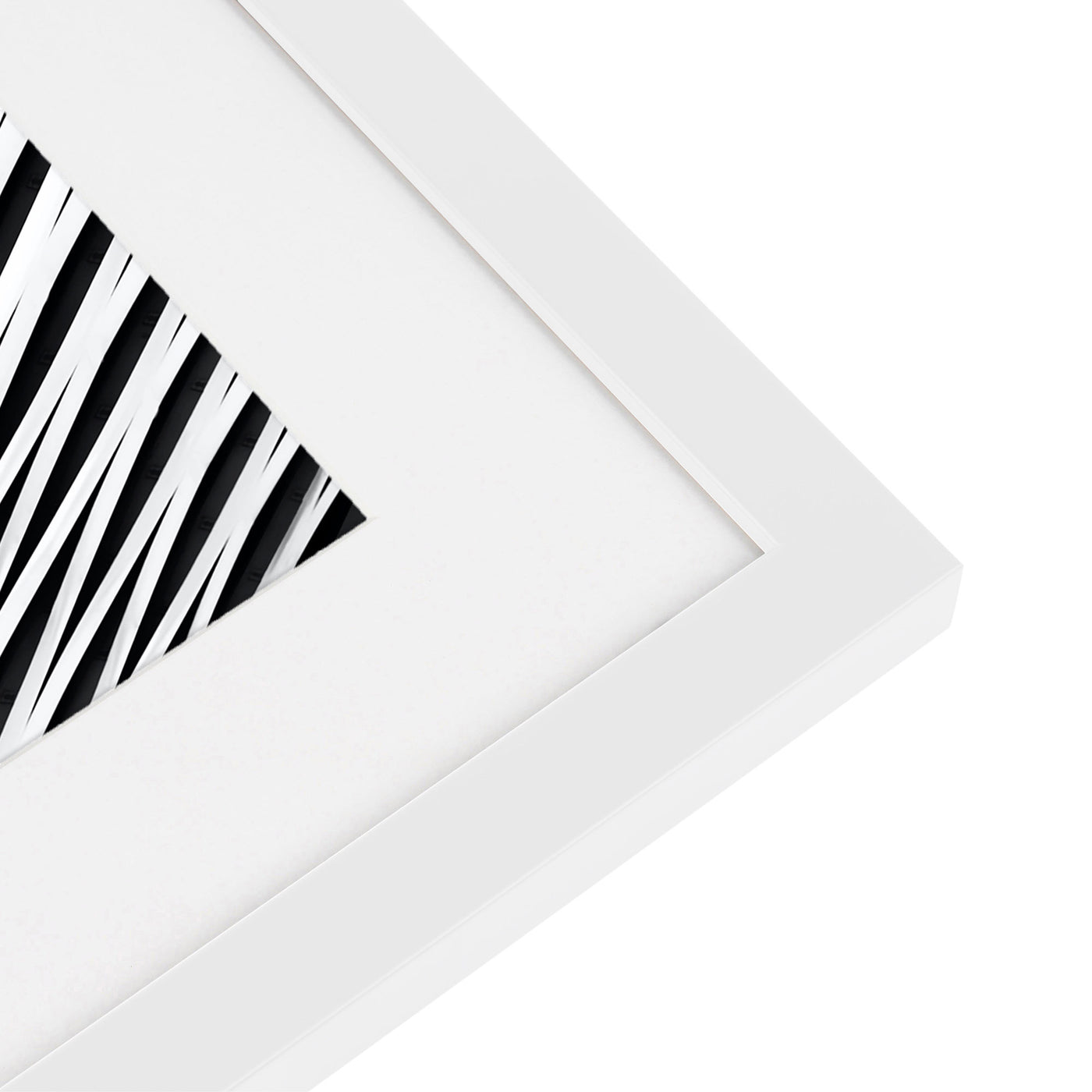 Abstract Zebra Lines No.1