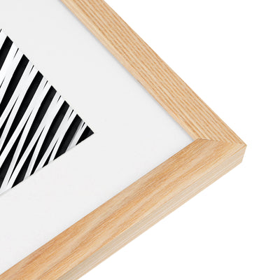 Abstract Zebra Lines No.1