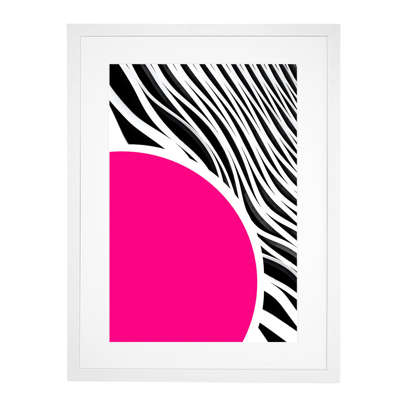 Abstract Zebra Lines No.1