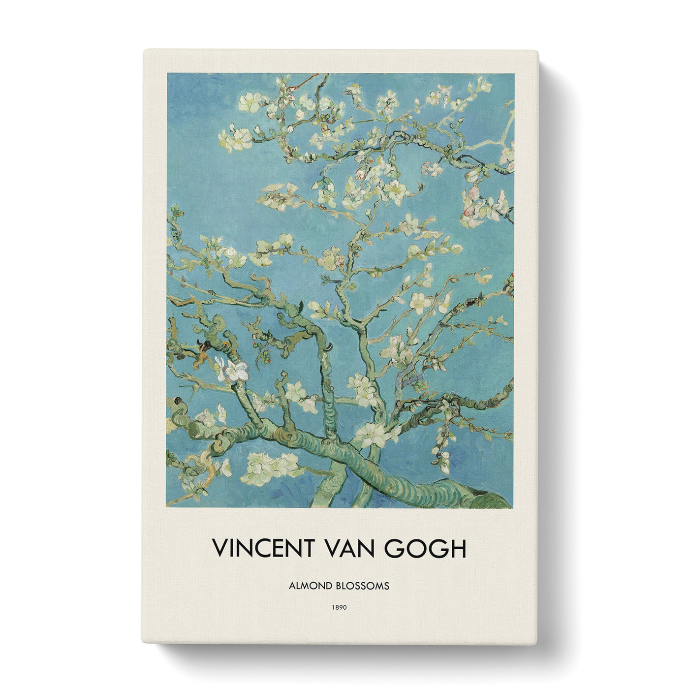 Almond Blossom Brancehs Vol.1 Print By Vincent Van Gogh Canvas Print Main Image