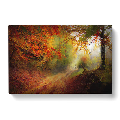 Autumn Forest Canvas Print Main Image