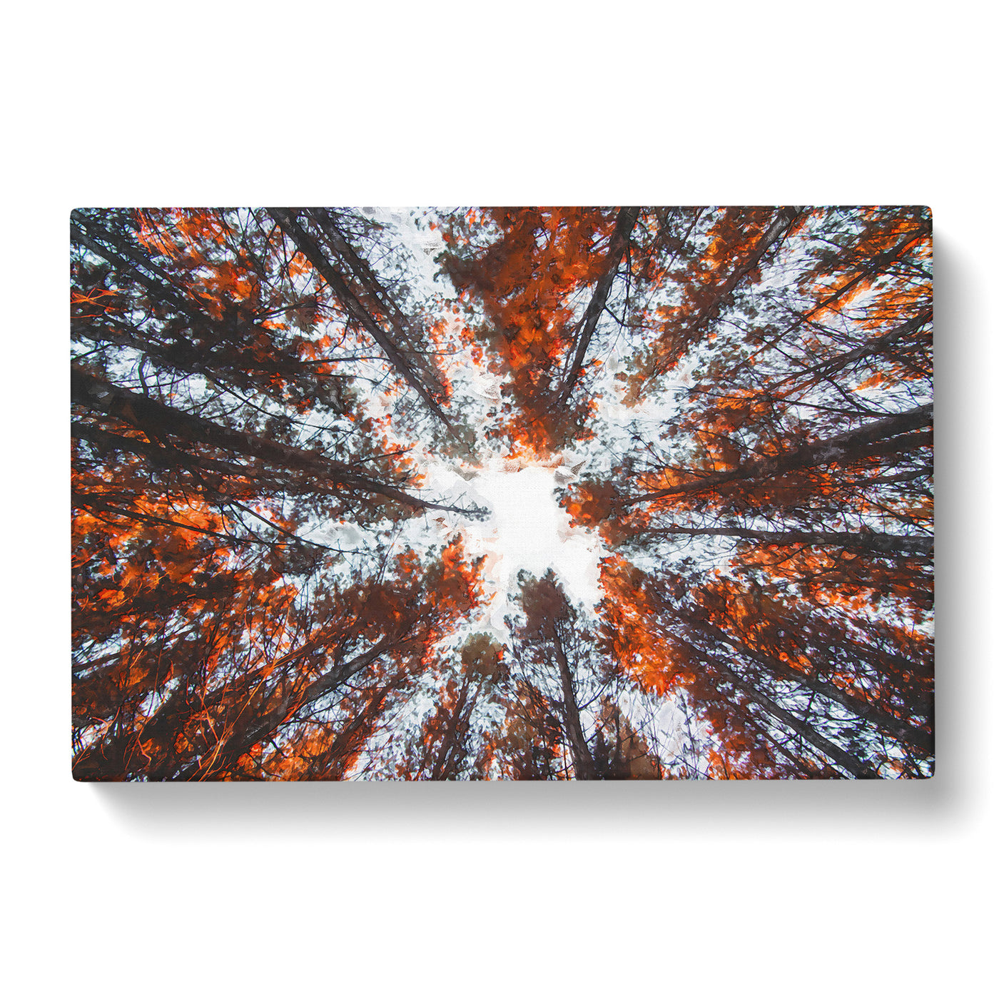 Autumn Forest Reaching Upward In Abstract Canvas Print Main Image