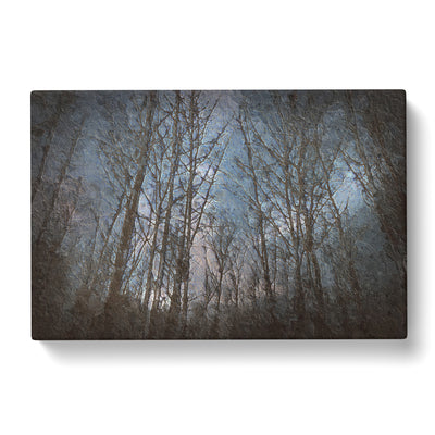 Bare Trees At Twilight In Abstract Canvas Print Main Image
