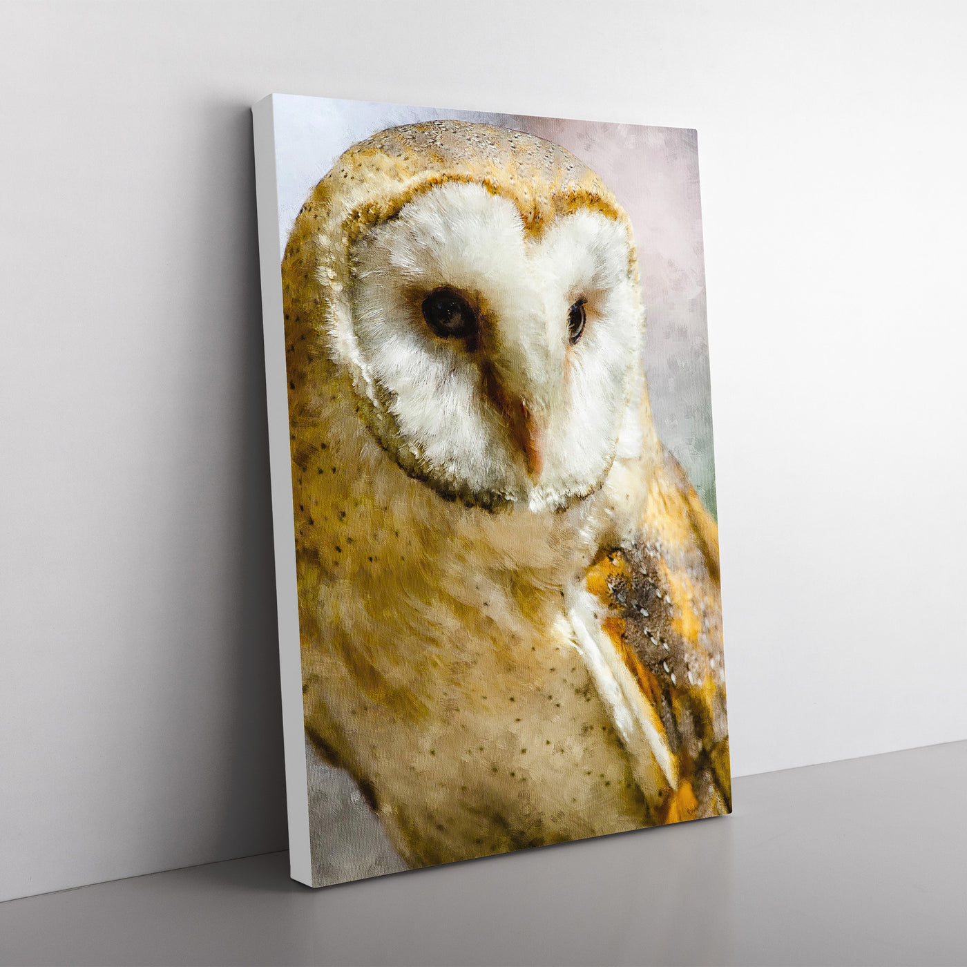 Barn Owl Vol.2