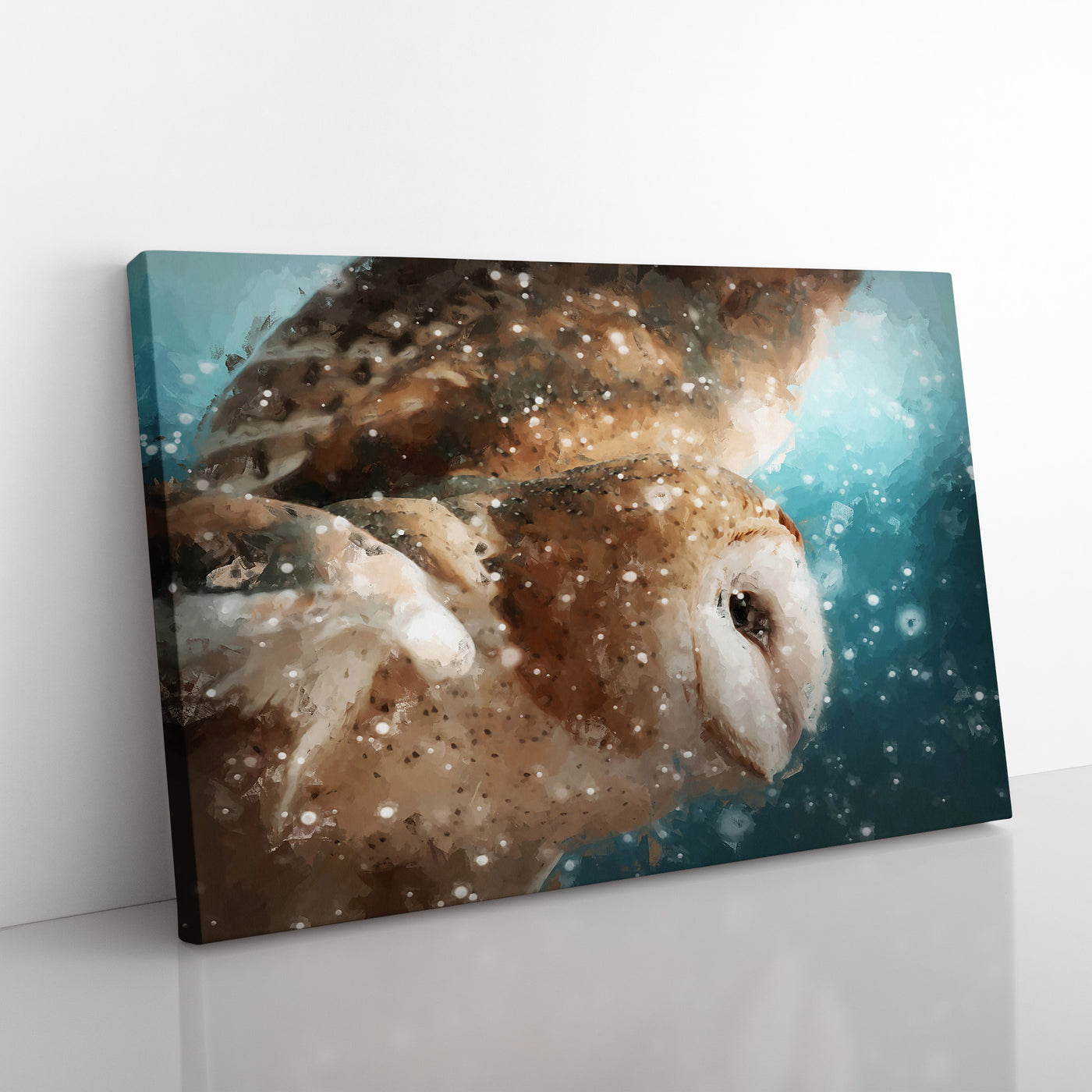 Barn Owl In The Snow