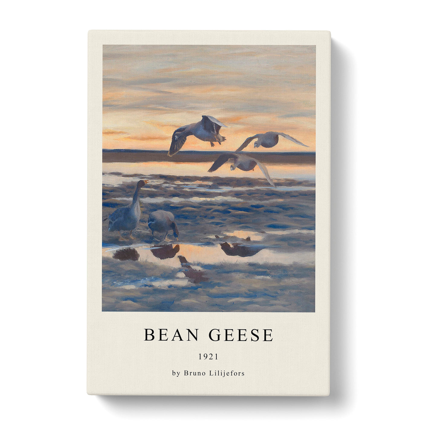 Bean Geese Shedding Print By Bruno Liljefors Canvas Print Main Image