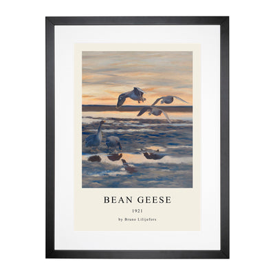 Bean Geese Shedding Print By Bruno Liljefors Framed Print Main Image