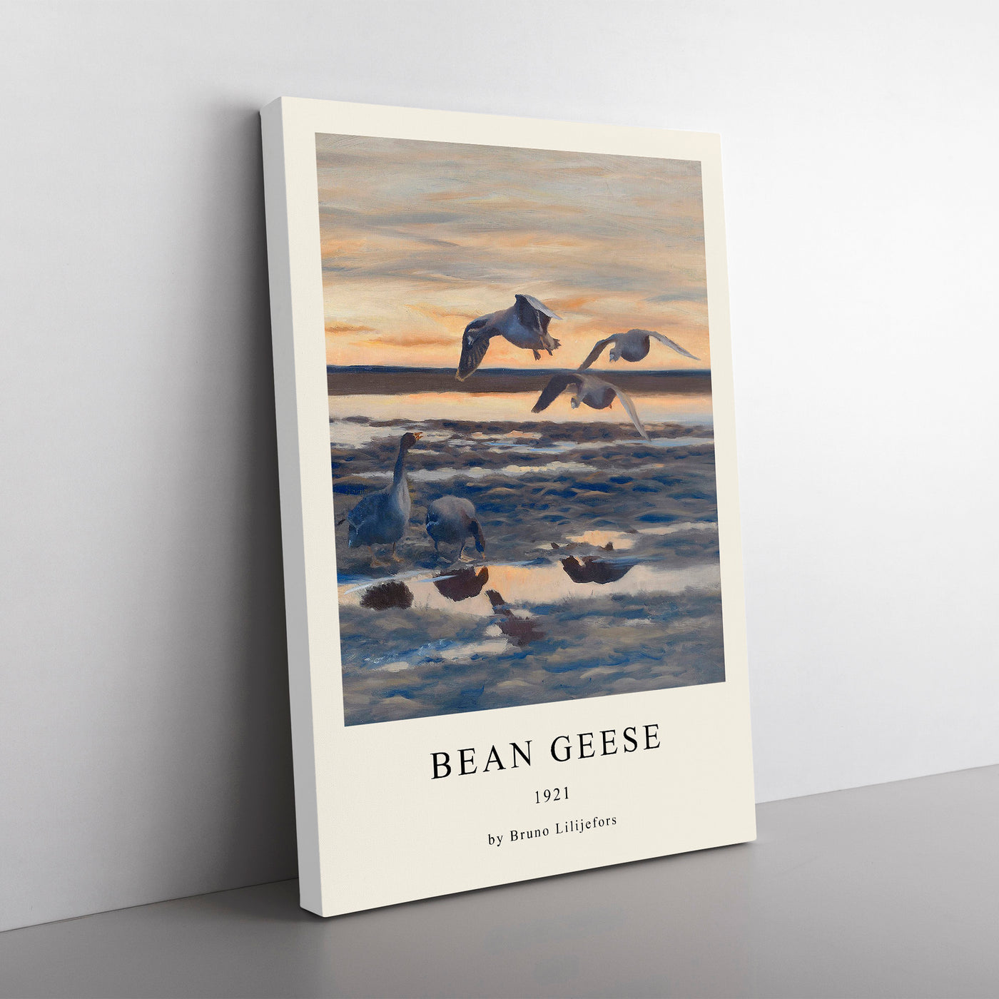 Bean Geese Shedding Print By Bruno Liljefors