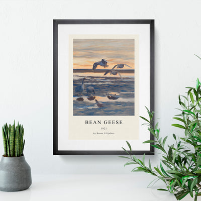 Bean Geese Shedding Print By Bruno Liljefors