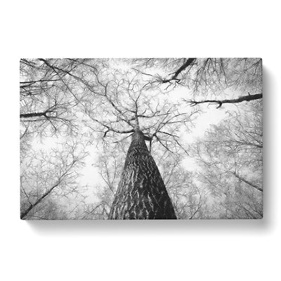 Below The Forest Painting Canvas Print Main Image