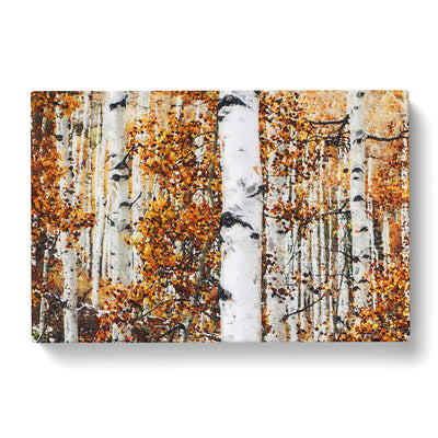 Birch Trees In Autumn Canvas Print Main Image