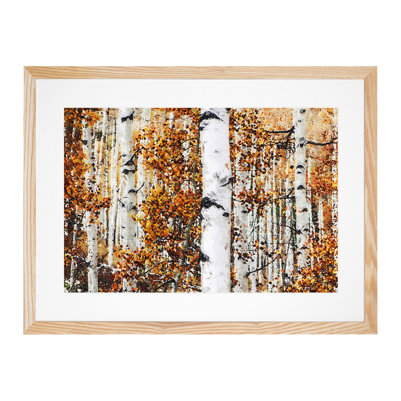 Birch Trees In Autumn