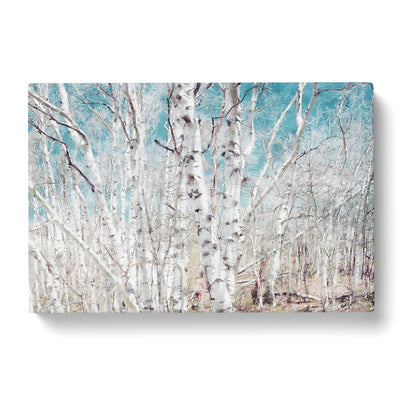 Birch Trees In Utah Painting Canvas Print Main Image