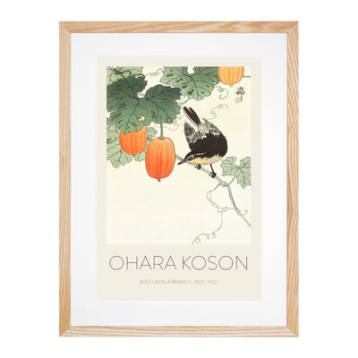 Bird Upon A Branch Print By Ohara Koson