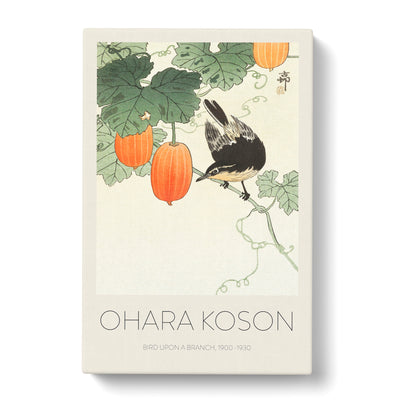 Bird Upon A Branch Print By Ohara Koson Canvas Print Main Image