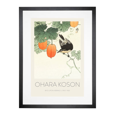 Bird Upon A Branch Print By Ohara Koson Framed Print Main Image