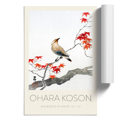 Bird Upon A Maple Tree Print By Ohara Koson
