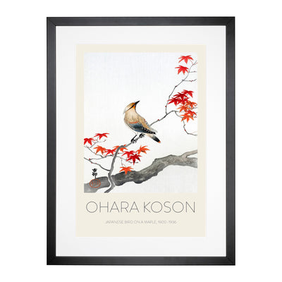 Bird Upon A Maple Tree Print By Ohara Koson Framed Print Main Image