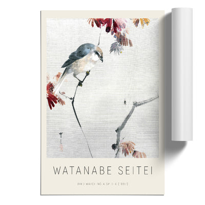 Bird Watching A Spider Print By Watanabe Seitei