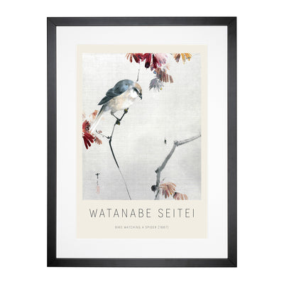 Bird Watching A Spider Print By Watanabe Seitei Framed Print Main Image