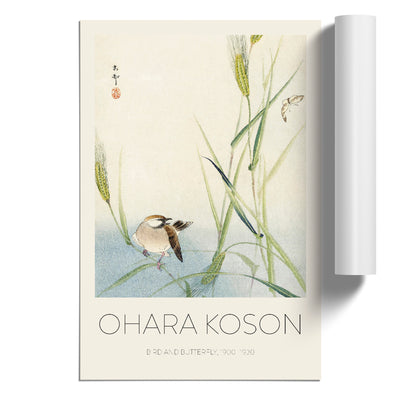 Bird & Butterfly Print By Ohara Koson
