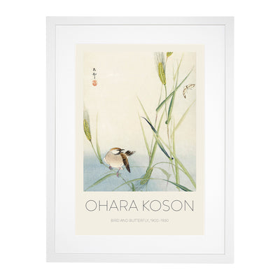 Bird & Butterfly Print By Ohara Koson