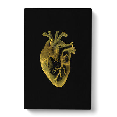 Black Gold Anatomical Heart Canvas Print Main Image