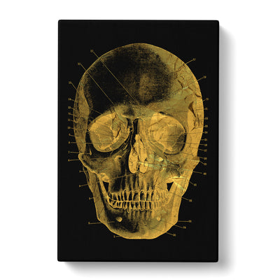 Black Twilight Skull In Gold Canvas Print Main Image
