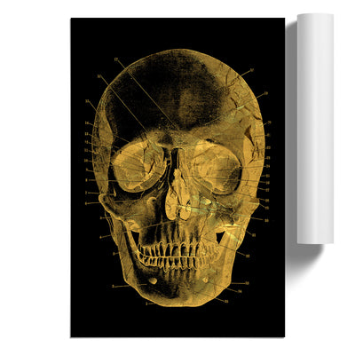 Black Twilight Skull in Gold