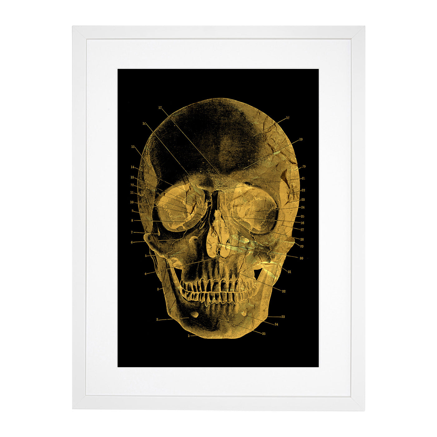 Black Twilight Skull in Gold