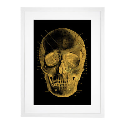 Black Twilight Skull in Gold