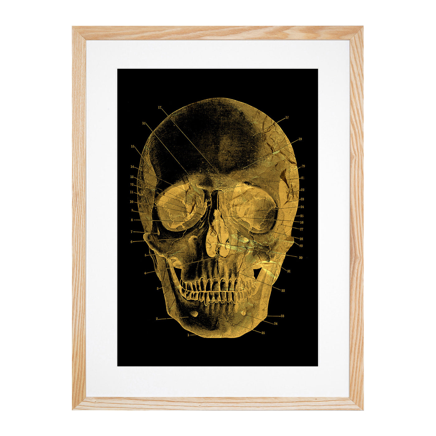 Black Twilight Skull in Gold