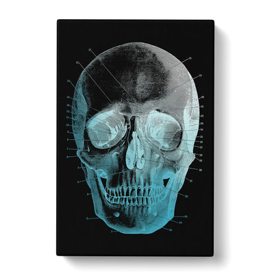 Black Twilight Skull Canvas Print Main Image