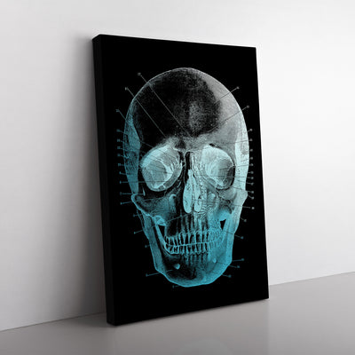 Black Twilight Skull