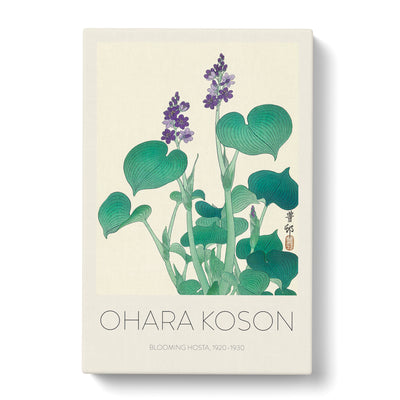 Blooming Hosta Flower Print By Ohara Koson Canvas Print Main Image