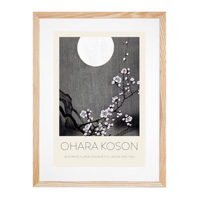 Blooming Plum Blossom Print By Ohara Koson