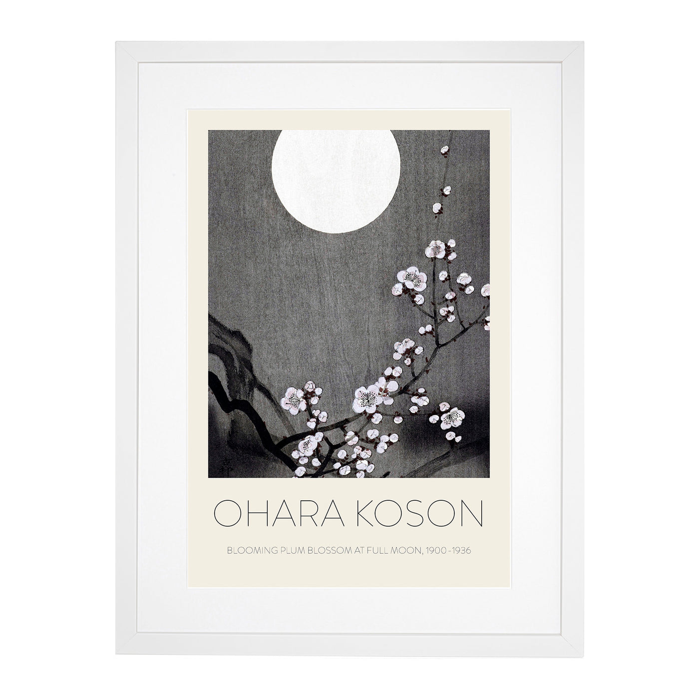 Blooming Plum Blossom Print By Ohara Koson