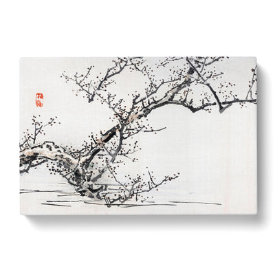 Blossom Tree By Kono Bairei Canvas Print Main Image