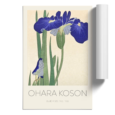 Blue Irises Print By Ohara Koson