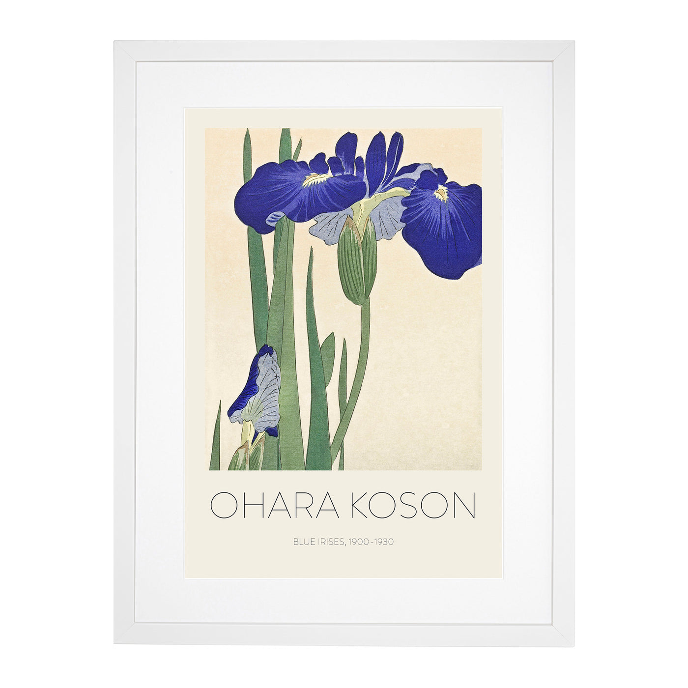 Blue Irises Print By Ohara Koson