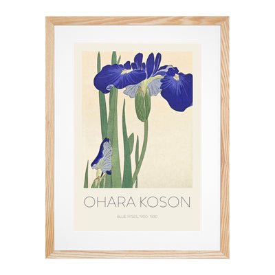 Blue Irises Print By Ohara Koson