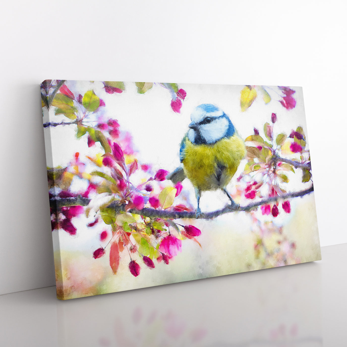 Blue Tit Bird In Spring