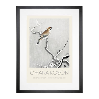 Bohemian Bird On A Snowy Branch Print By Ohara Koson Framed Print Main Image