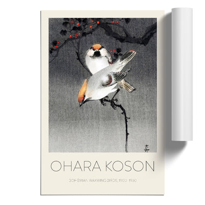 Bohemian Waxwing Birds Print By Ohara Koson
