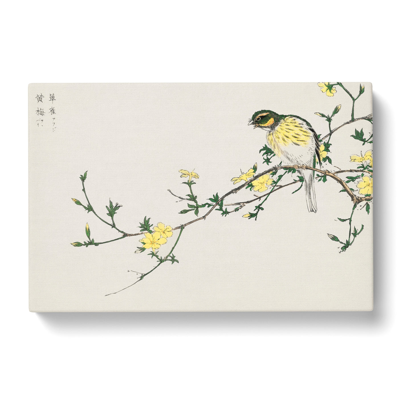 Bunting Bird On A Plum Tree By Numata Kashu Canvas Print Main Image