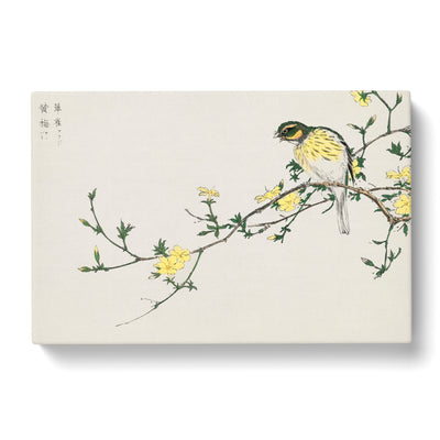 Bunting Bird On A Plum Tree By Numata Kashu Canvas Print Main Image