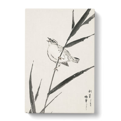 Bunting Bird Upon A Reed By Numata Kashu Canvas Print Main Image